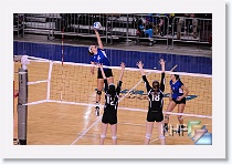 Set 2 * (151 Slides)